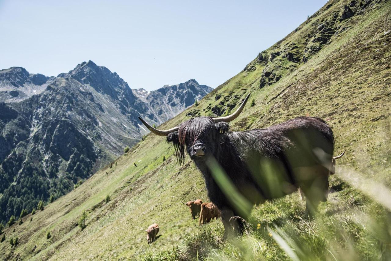Archehof Hochzirm Lodge Anna Campo Tures Eksteriør billede