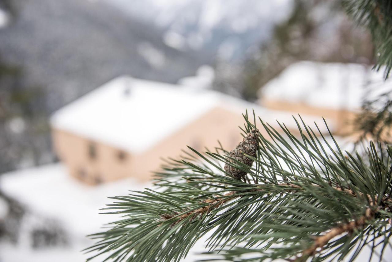 Archehof Hochzirm Lodge Anna Campo Tures Eksteriør billede